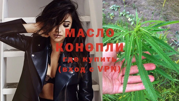 гидропоника Каменка