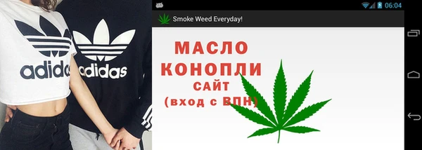 гидропоника Каменка