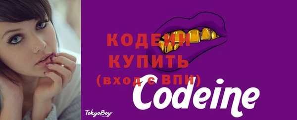 гидропоника Каменка