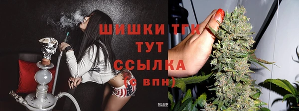гашик Каменск-Шахтинский