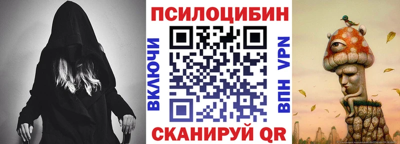 Купить закладки  Магадан  Псилоцибиновые грибы мухоморы 